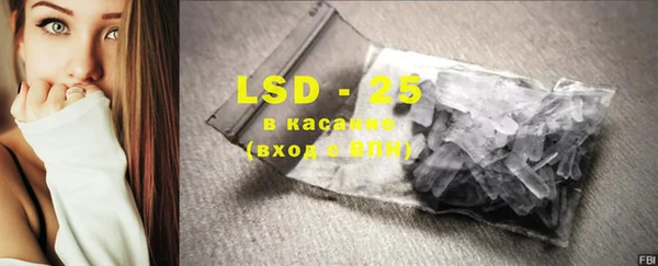 индика Володарск