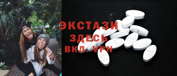 индика Володарск