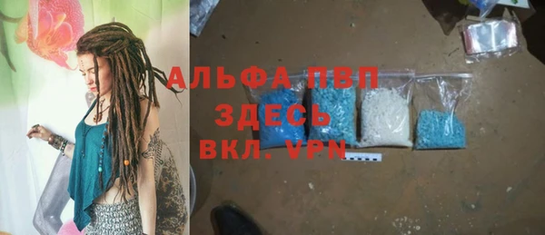 индика Володарск