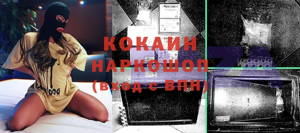 индика Володарск