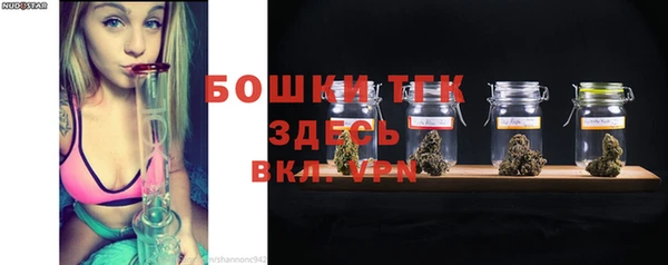 индика Володарск