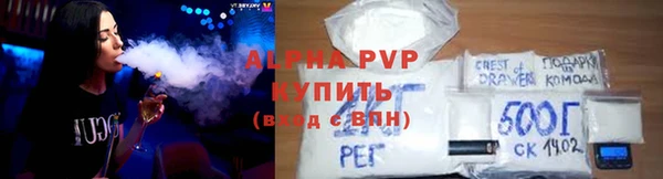 индика Володарск
