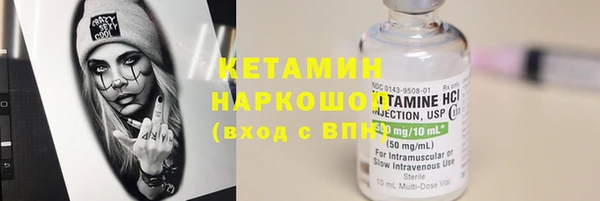 индика Володарск
