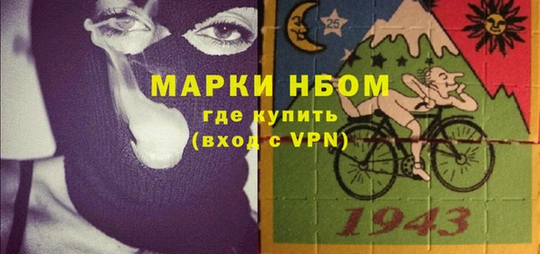 индика Володарск