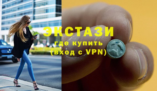 индика Володарск