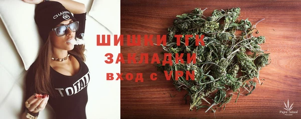 индика Володарск