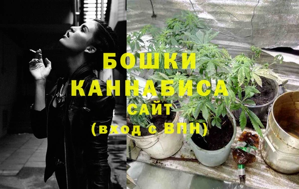 индика Володарск